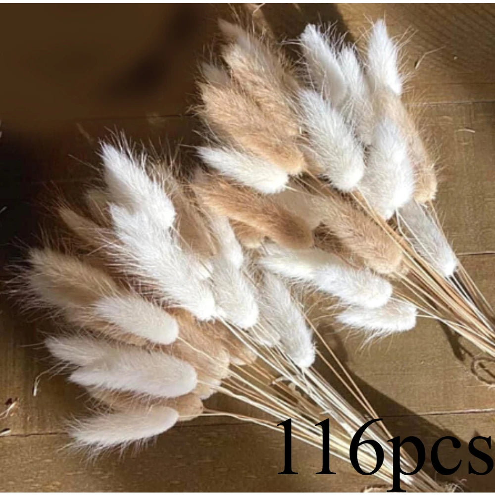 Modèle C : graminées de type lagurus beige, visuel annonçant 116 pièces