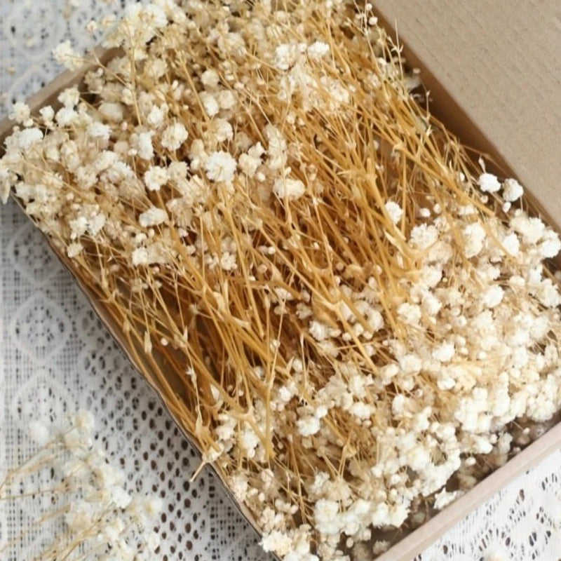 Petites fleurs ivoire de type gypsophile disposées dans une boîte