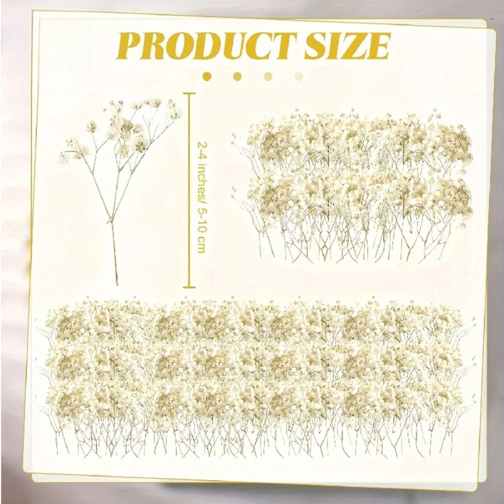 Présentation des dimensions indicatives et des lots de petites fleurs