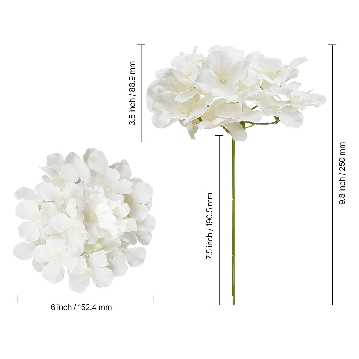 Dimensions indicatives d’un hortensia : tête 15,24 cm et hauteur 25 cm